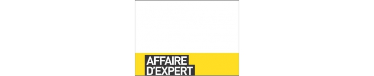 Affaires d'expert